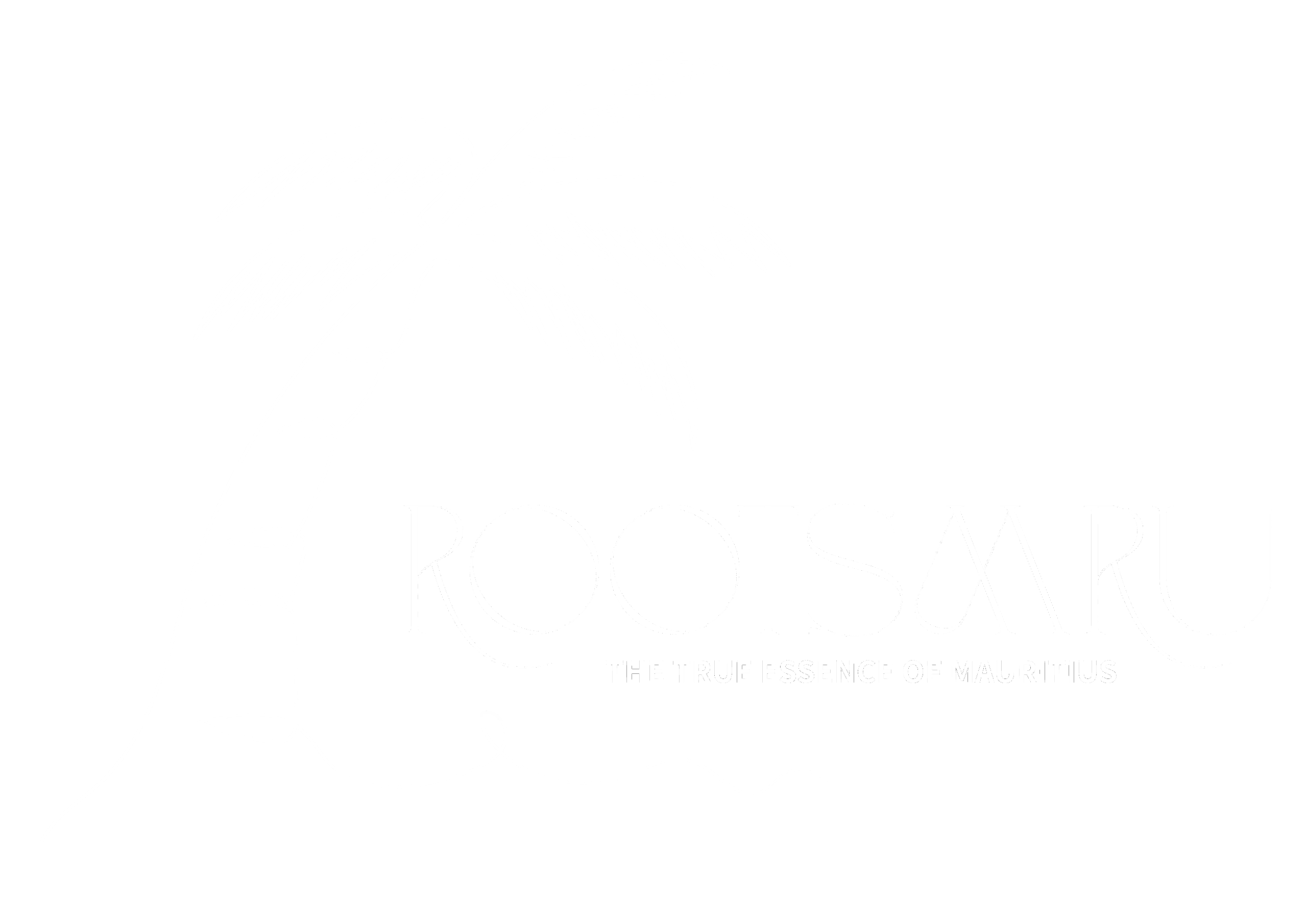 New logo 29.7 x 21 cm 2 scaled
